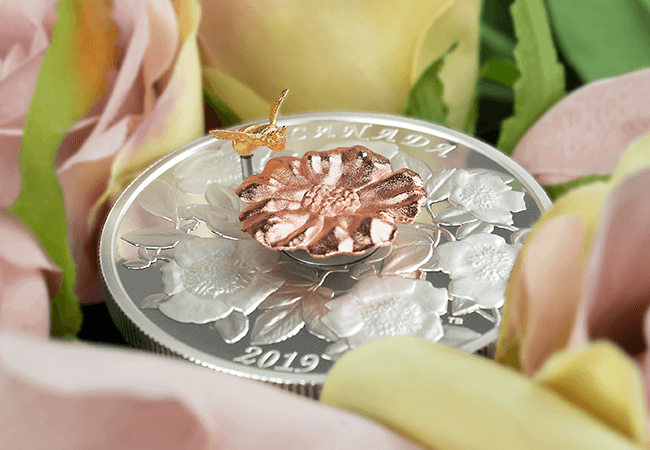 2018 Royal Canadian Mint Bee and Bloom Coin Lifestyle 4 - Vote for your favourite coin of 2018