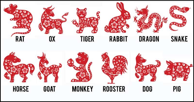 Chinese Zodiac SIgns - Are you more of a Rabbit, Tiger or Ox?