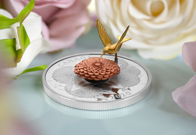 LS Hummingbird and Bloom Coin lifestyle 5 - A complete SELL-OUT within hours! Introducing the latest innovative coin from the Royal Canadian Mint…