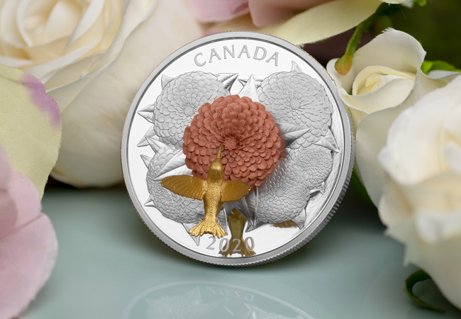LS Hummingbird and Bloom Coin lifestyle 6 - A complete SELL-OUT within hours! Introducing the latest innovative coin from the Royal Canadian Mint…