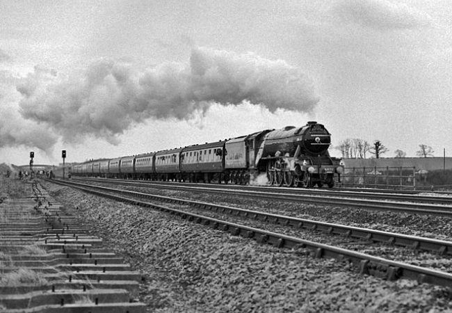 Flying Scotsman, Swayfield Lodge, Peterborough, 1983