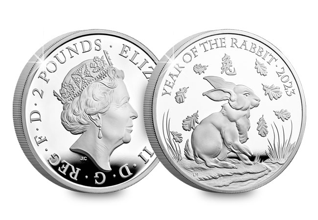 Lunar Year of the Rabbit Silver Obverse Reverse - The Next Lunar Year Potential SELL-OUT Coin is HERE… Can You Guess What Animal it is?