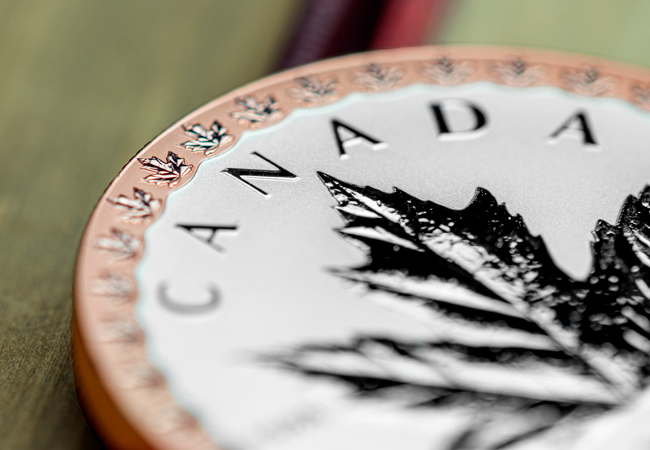 2023 Fractional Set Silver 5 Dollars Close up 01 - Why the BRAND NEW 2023 Silver Maple Leaf Set is sure to be the most sought-after yet