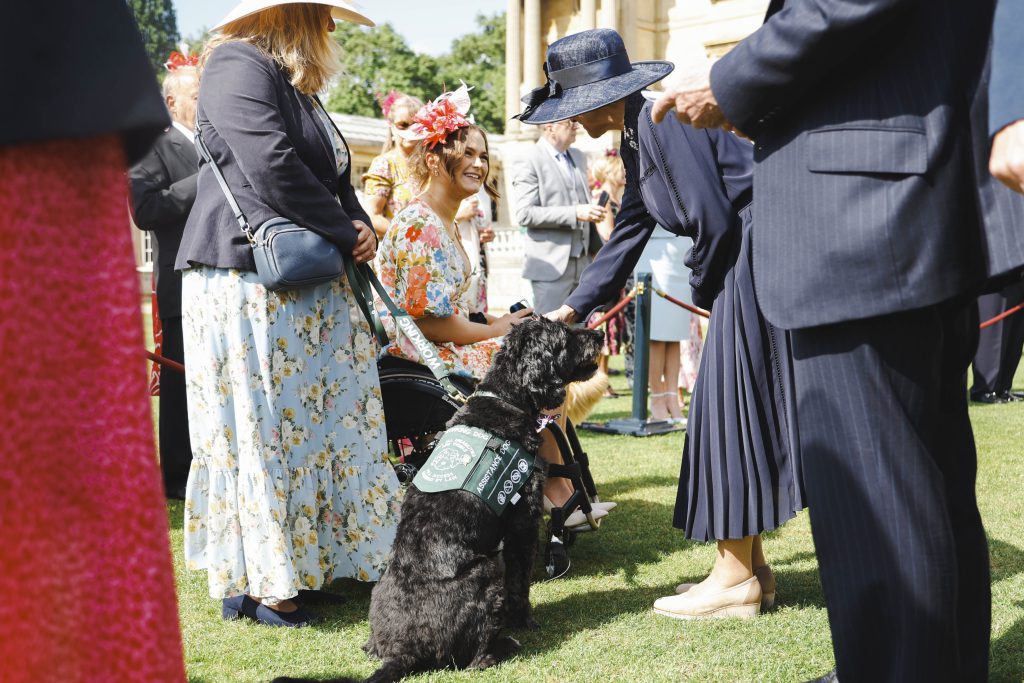palace approved 1024x683 - Celebrating 150 Years of True Furry Friendship: The Kennel Club and its Extraordinary Legacy