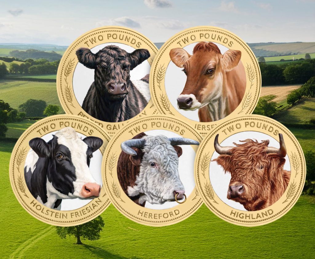 DN 2024 heritage breeds cows bu colour 50p set email 2 1024x842 - BRAND NEW Heritage Cattle £2 Coins: Meet the &#8216;Hairy Coos&#8217;!