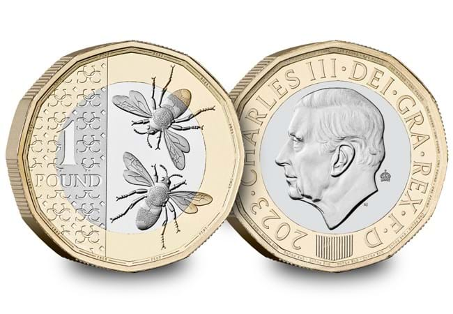 uk new coinage bu 1 - Rare UK £1 coin pair: The 2017 Nations of the Crown and 2023 Bee £1 Coins