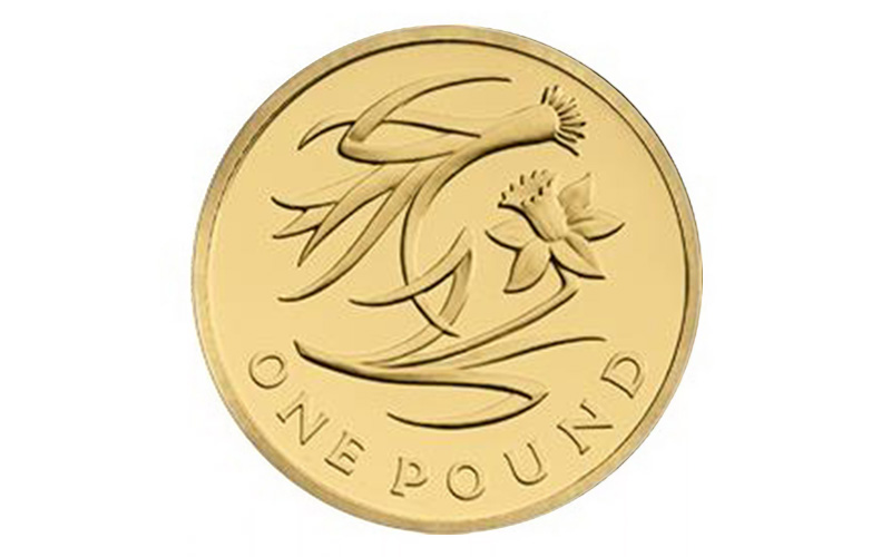 rare 1 daffodil and leek 2013 - The Rarest £1 Coins &#8211; Still in circulation