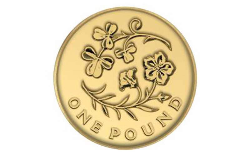 rare 1 flax and shamrock 2014 - The Rarest £1 Coins &#8211; Still in circulation