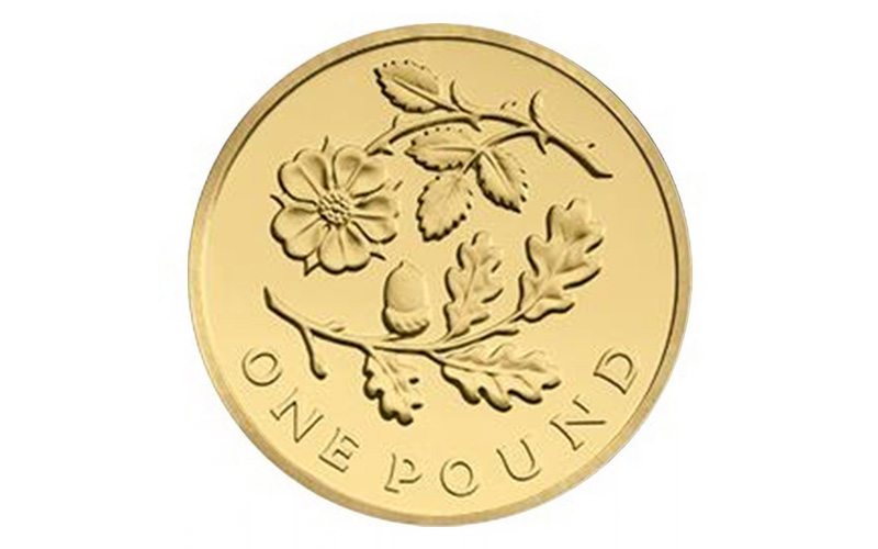 rare 1 rose and oak 2013 - The Rarest £1 Coins &#8211; Still in circulation